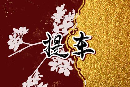 2025年03月10日提车黄道吉日 是提车好日子吗