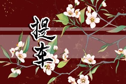 2025年农历七月廿一提车黄道吉日 是提车买车好日子吗
