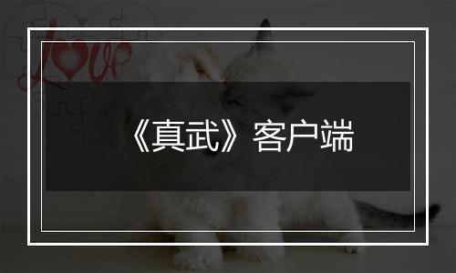 《真武》客户端