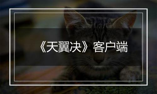 《天翼决》客户端