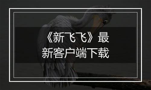 《新飞飞》最新客户端下载