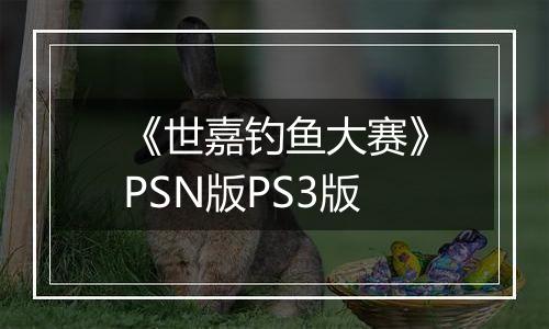 《世嘉钓鱼大赛》PSN版PS3版