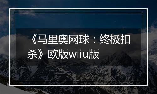 《马里奥网球：终极扣杀》欧版wiiu版