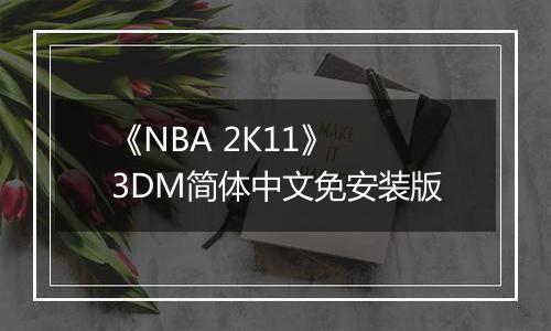 《NBA 2K11》 3DM简体中文免安装版