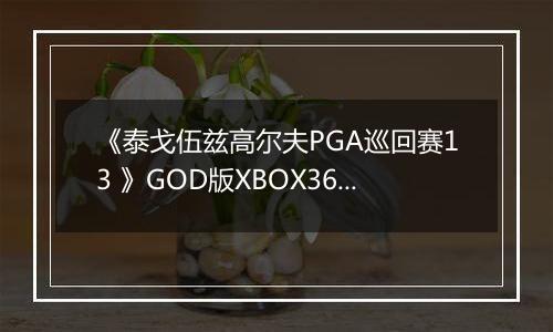 《泰戈伍兹高尔夫PGA巡回赛13 》GOD版XBOX360版
