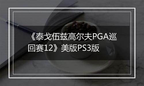《泰戈伍兹高尔夫PGA巡回赛12》美版PS3版