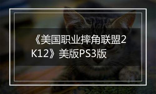 《美国职业摔角联盟2K12》美版PS3版