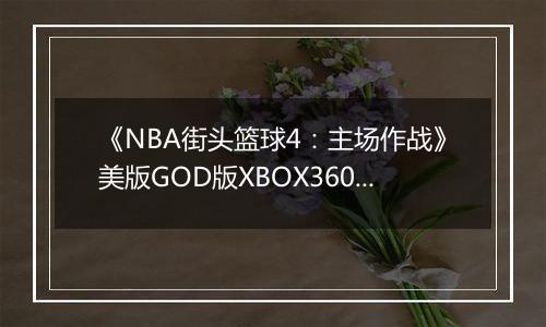 《NBA街头篮球4：主场作战》美版GOD版XBOX360版