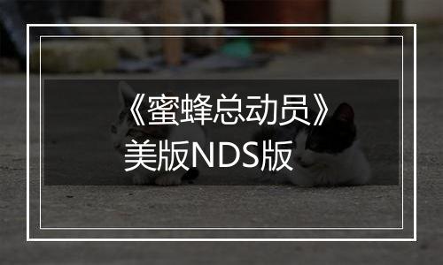 《蜜蜂总动员》 美版NDS版