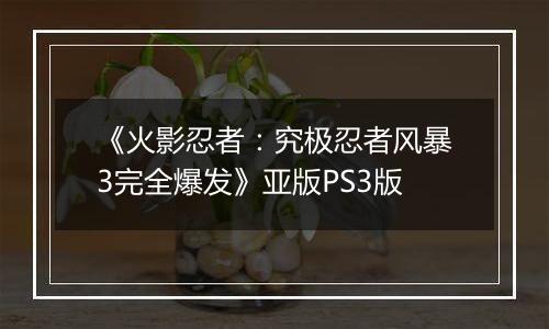《火影忍者：究极忍者风暴3完全爆发》亚版PS3版