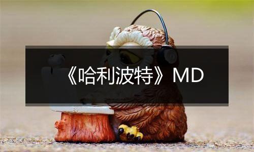 《哈利波特》MD