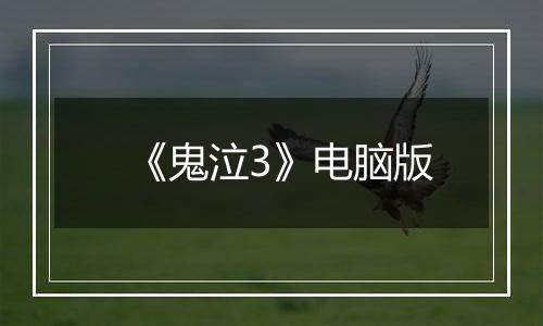 《鬼泣3》电脑版