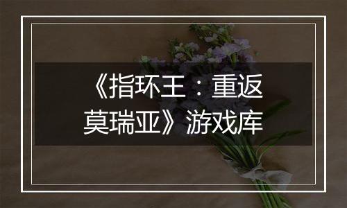 《指环王：重返莫瑞亚》游戏库