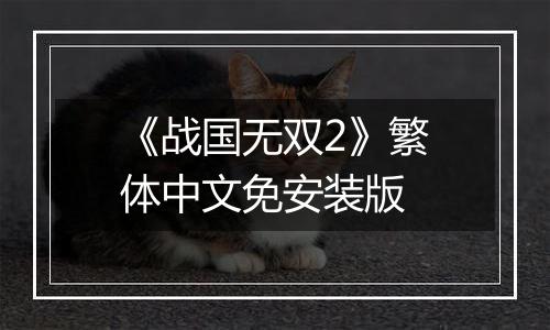 《战国无双2》繁体中文免安装版