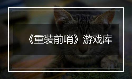 《重装前哨》游戏库