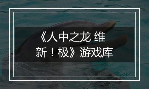 《人中之龙 维新！极》游戏库