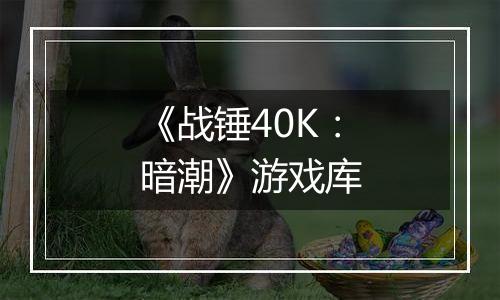 《战锤40K：暗潮》游戏库