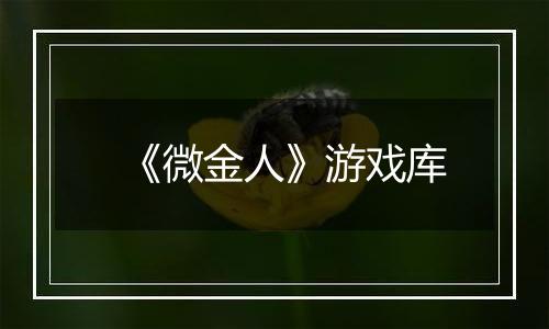 《微金人》游戏库
