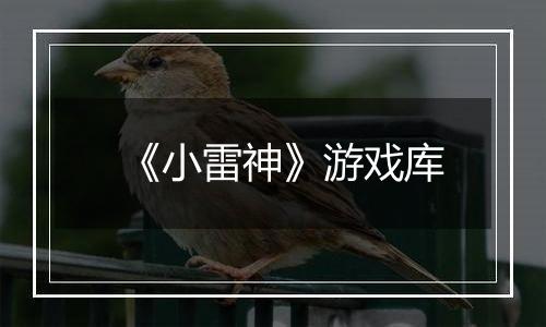 《小雷神》游戏库