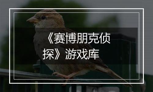 《赛博朋克侦探》游戏库