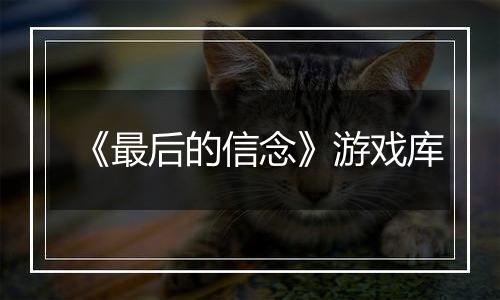 《最后的信念》游戏库