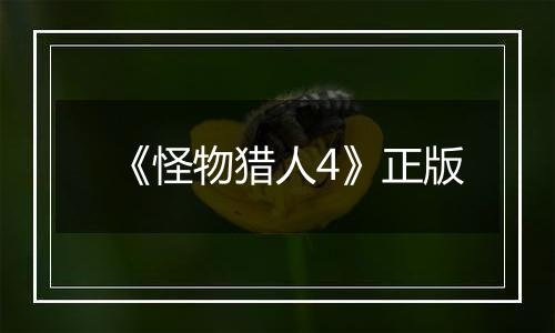 《怪物猎人4》正版