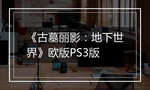 《古墓丽影：地下世界》欧版PS3版