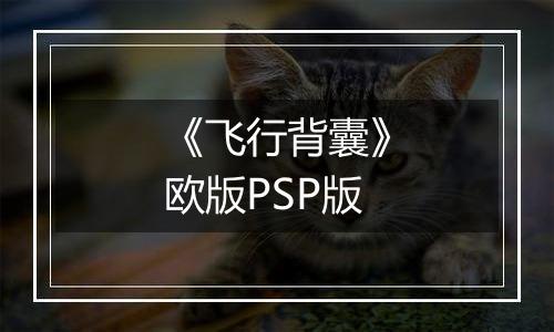 《飞行背囊》欧版PSP版