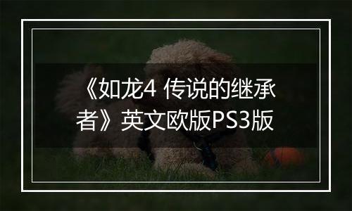 《如龙4 传说的继承者》英文欧版PS3版
