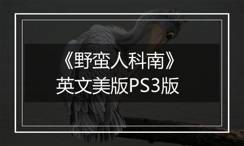 《野蛮人科南》 英文美版PS3版