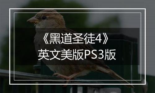 《黑道圣徒4》 英文美版PS3版