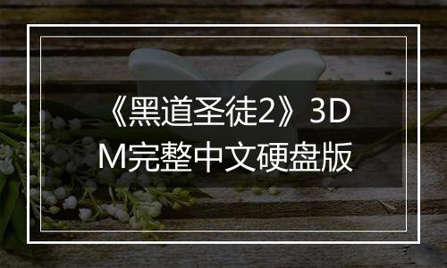 《黑道圣徒2》3DM完整中文硬盘版