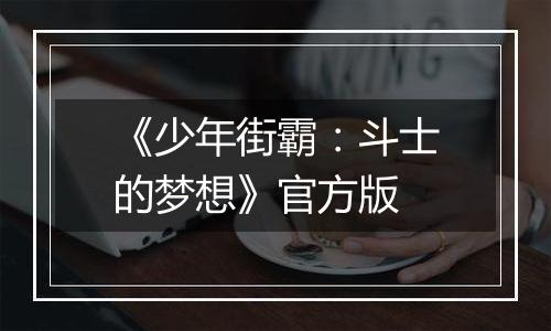 《少年街霸：斗士的梦想》官方版