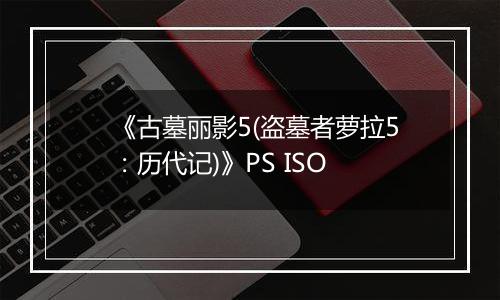 《古墓丽影5(盗墓者萝拉5：历代记)》PS ISO