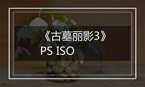 《古墓丽影3》PS ISO