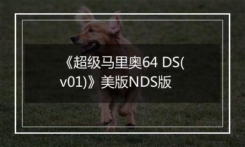 《超级马里奥64 DS(v01)》美版NDS版