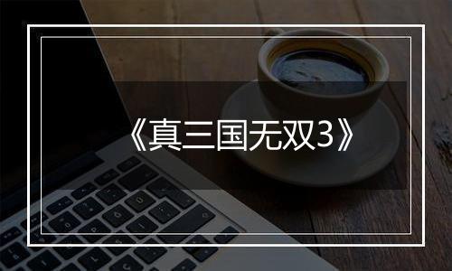 《真三国无双3》