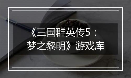 《三国群英传5：梦之黎明》游戏库