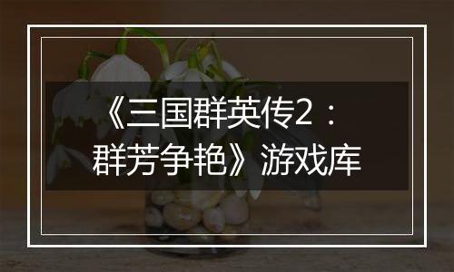 《三国群英传2：群芳争艳》游戏库