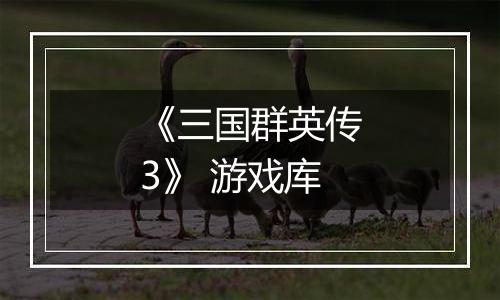 《三国群英传3》 游戏库