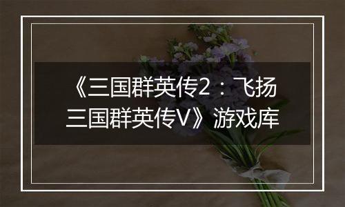 《三国群英传2：飞扬三国群英传V》游戏库