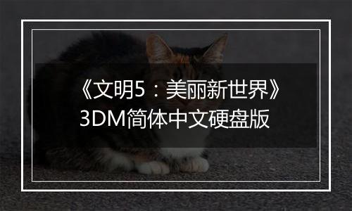 《文明5：美丽新世界》 3DM简体中文硬盘版