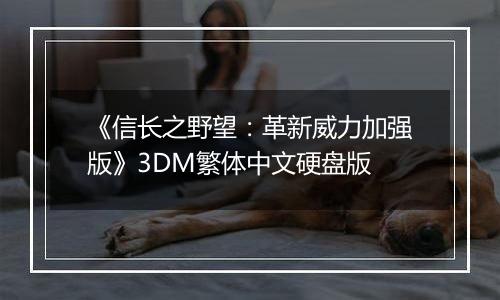 《信长之野望：革新威力加强版》3DM繁体中文硬盘版