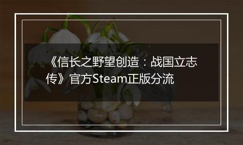 《信长之野望创造：战国立志传》官方Steam正版分流