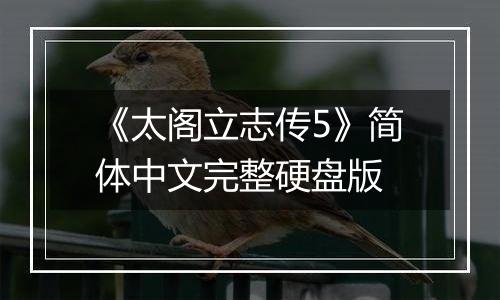 《太阁立志传5》简体中文完整硬盘版