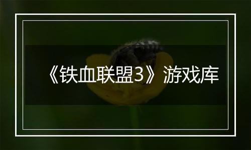 《铁血联盟3》游戏库