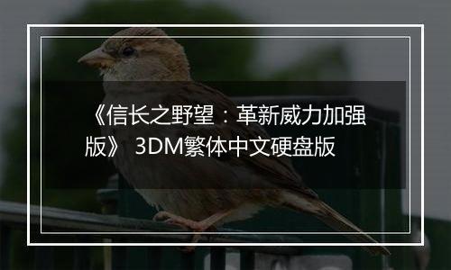 《信长之野望：革新威力加强版》 3DM繁体中文硬盘版