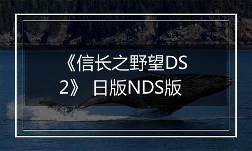 《信长之野望DS 2》 日版NDS版