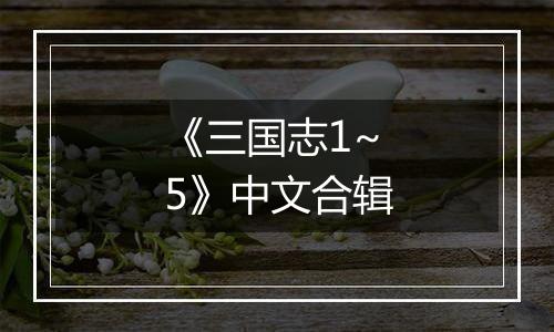《三国志1~5》中文合辑