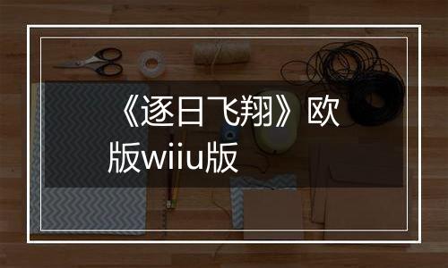 《逐日飞翔》欧版wiiu版